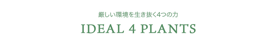 IDEAL 4 PLANTS